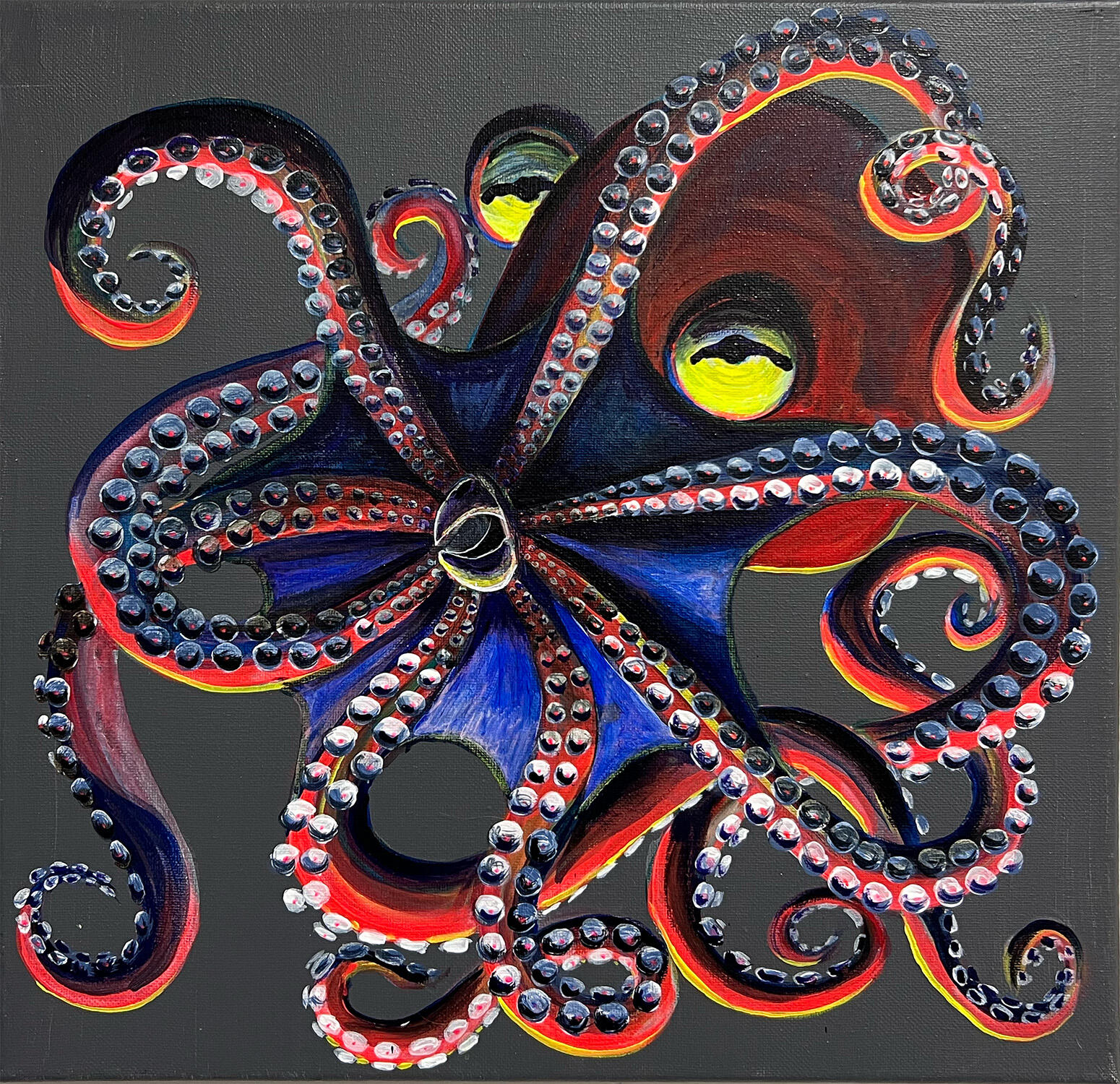 Octopus